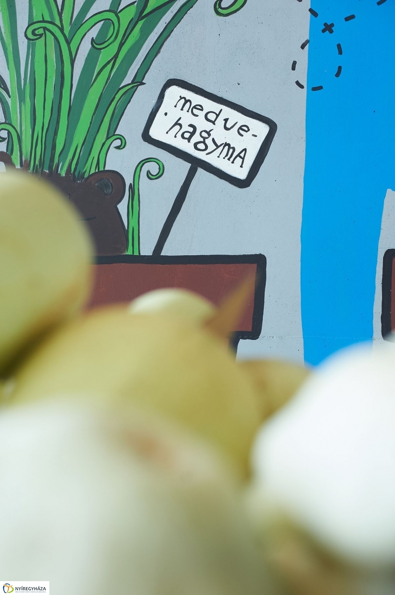 Művészi festés a Búza téri piacon - fotó Szarka Lajos