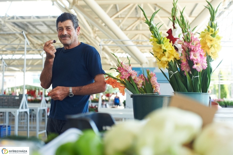 Művészi festés a Búza téri piacon - fotó Szarka Lajos