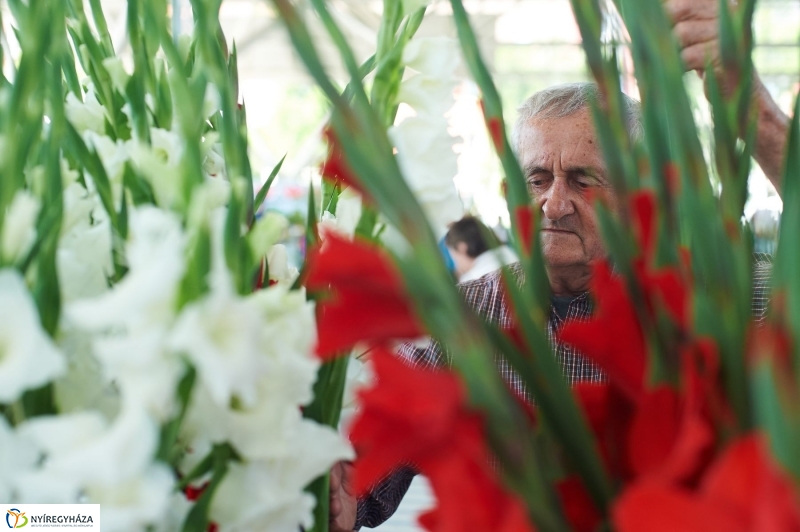 Művészi festés a Búza téri piacon - fotó Szarka Lajos
