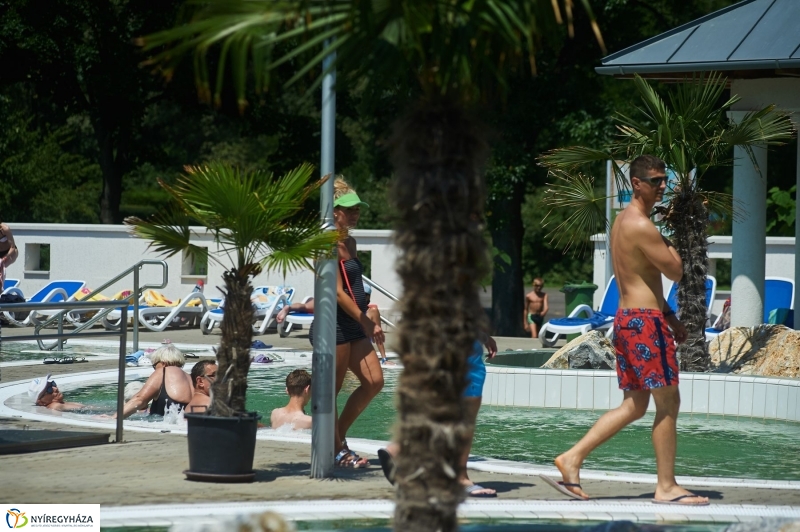 Sóstói nyár - fotó Szarka Lajos