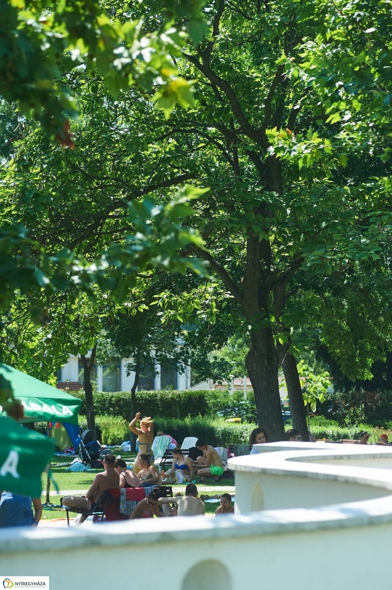 Sóstói nyár - fotó Szarka Lajos