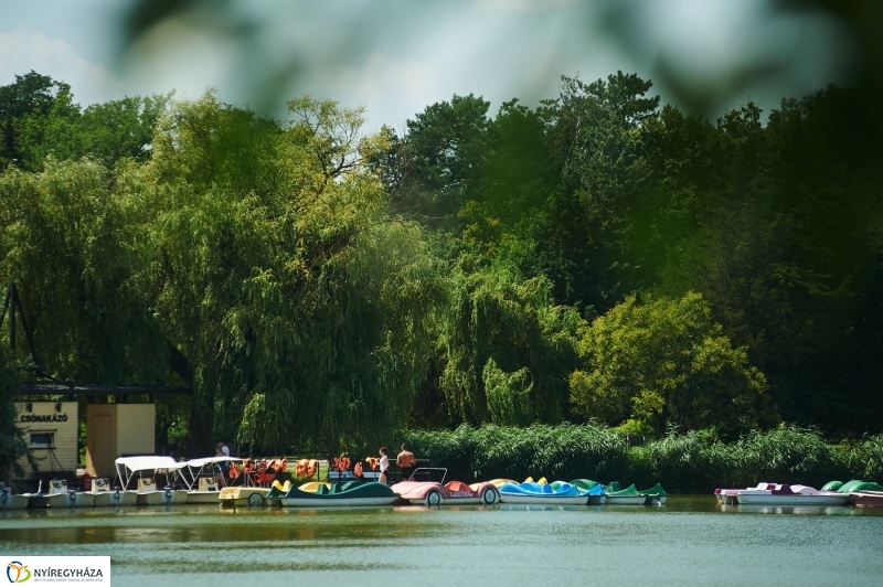 Sóstói nyár - fotó Szarka Lajos