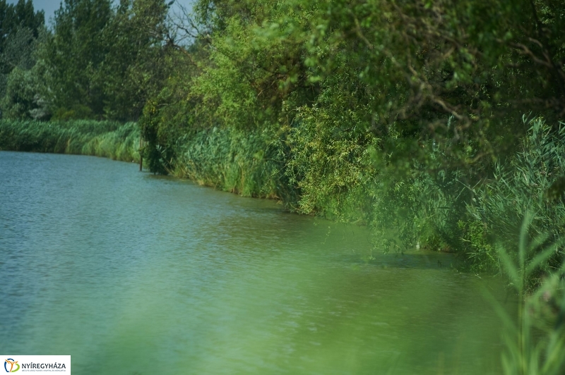 Sóstói nyár - fotó Szarka Lajos