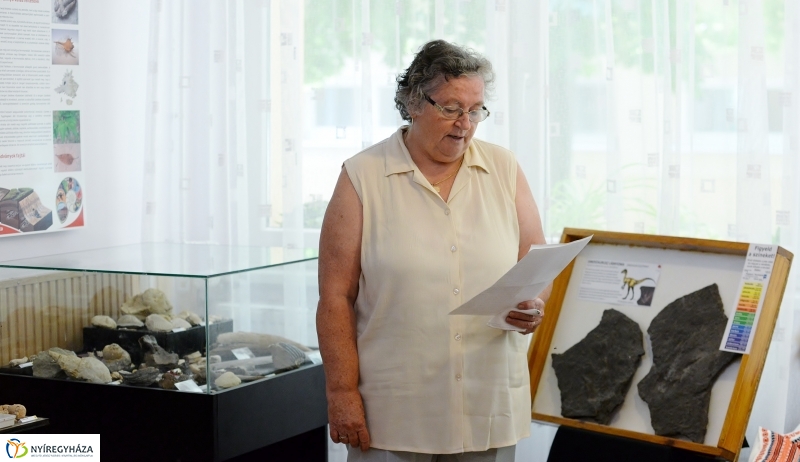 Különleges kiállítás az idősek klubjában