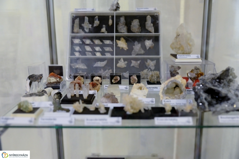 Különleges kiállítás az idősek klubjában