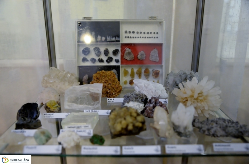 Különleges kiállítás az idősek klubjában