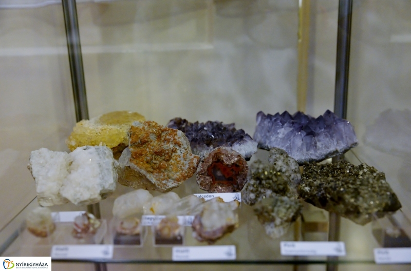 Különleges kiállítás az idősek klubjában