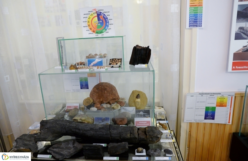 Különleges kiállítás az idősek klubjában