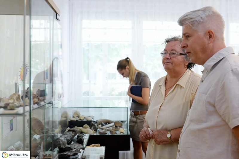 Különleges kiállítás az idősek klubjában