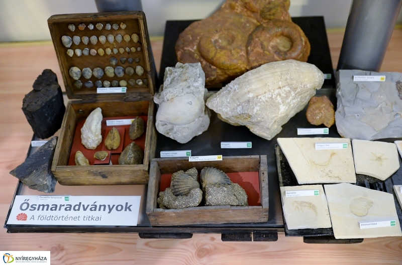 Különleges kiállítás az idősek klubjában