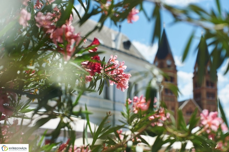Nyári péntek délután a belvárosban - fotó Szarka Lajos