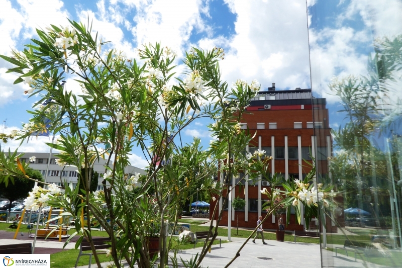 Nyári péntek délután a belvárosban - fotó Szarka Lajos
