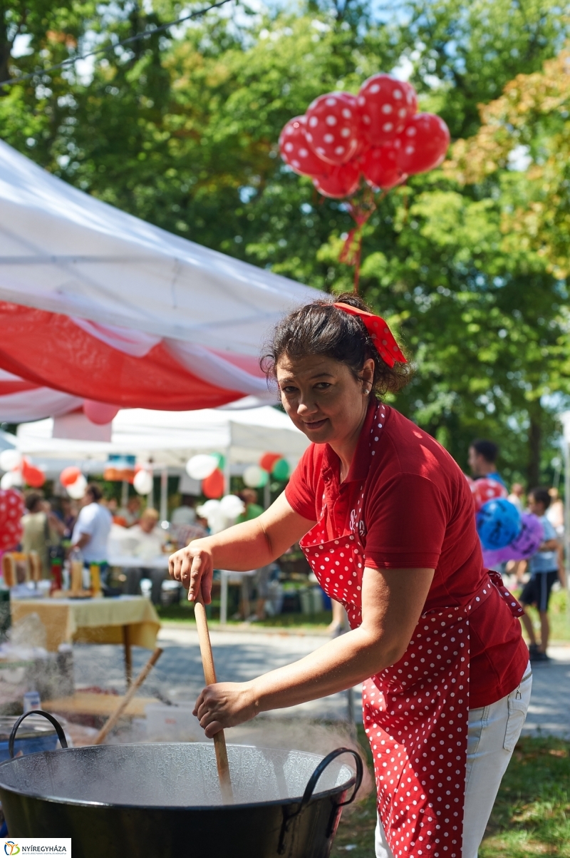 Amatőr főzőverseny Sóstón - fotó Szarka Lajos