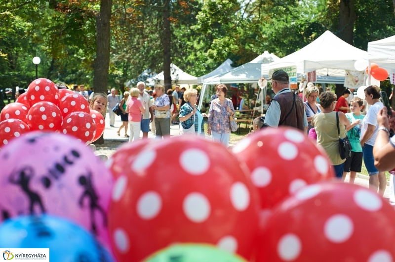 Amatőr főzőverseny Sóstón - fotó Szarka Lajos