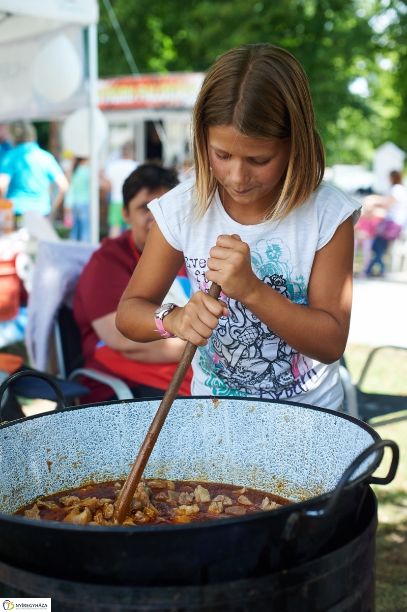 Amatőr főzőverseny Sóstón - fotó Szarka Lajos