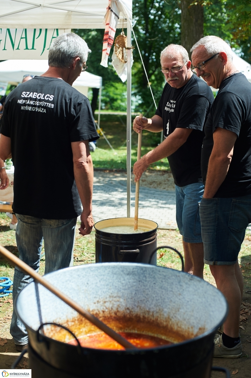 Amatőr főzőverseny Sóstón - fotó Szarka Lajos