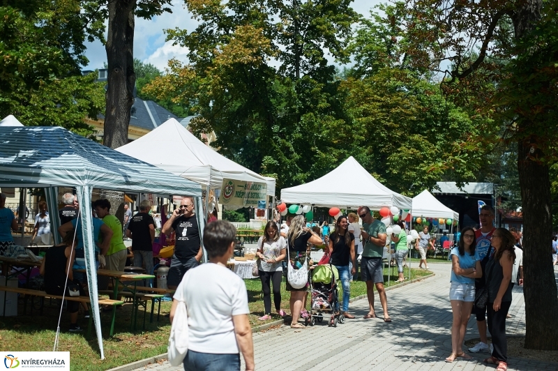 Amatőr főzőverseny Sóstón - fotó Szarka Lajos
