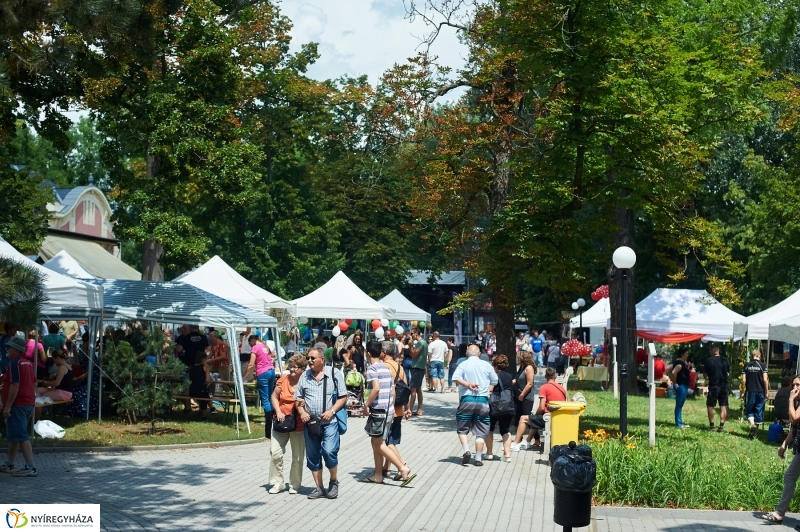 Amatőr főzőverseny Sóstón - fotó Szarka Lajos