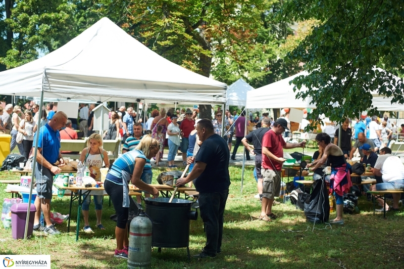 Amatőr főzőverseny Sóstón - fotó Szarka Lajos