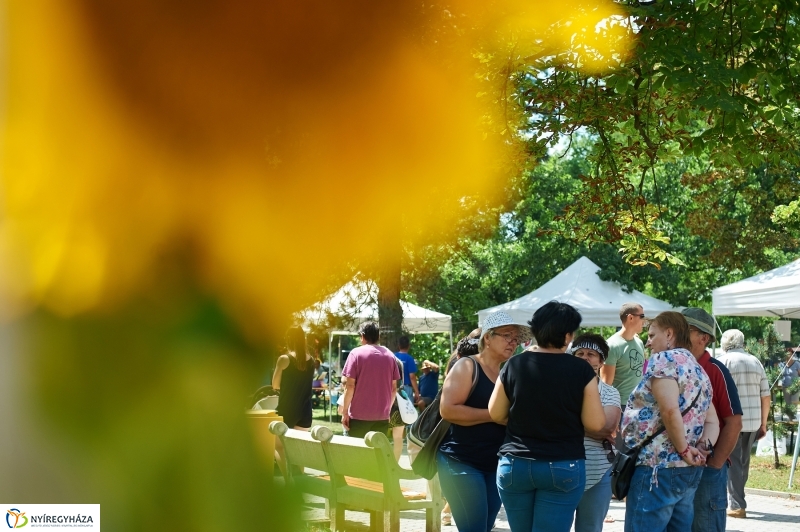Amatőr főzőverseny Sóstón - fotó Szarka Lajos