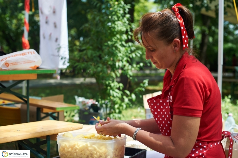 Amatőr főzőverseny Sóstón - fotó Szarka Lajos