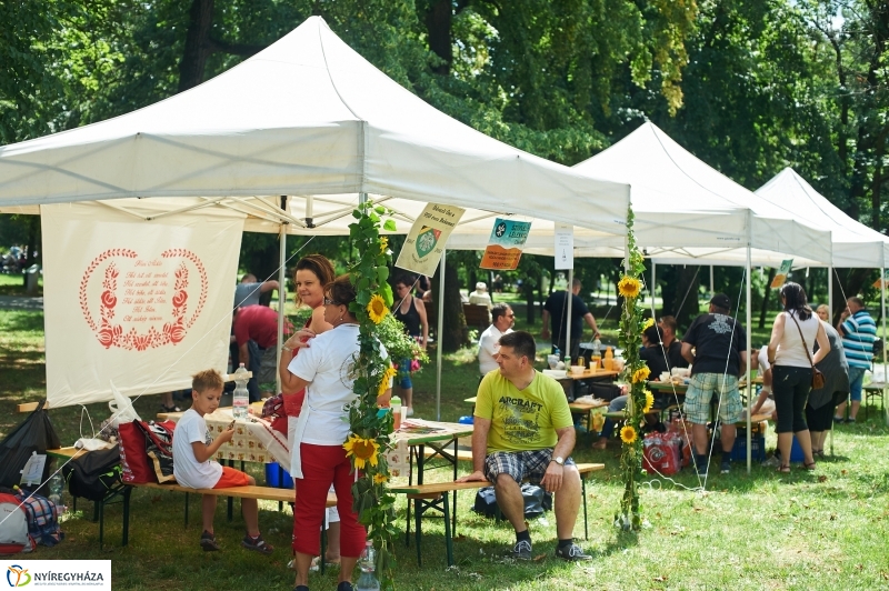 Amatőr főzőverseny Sóstón - fotó Szarka Lajos