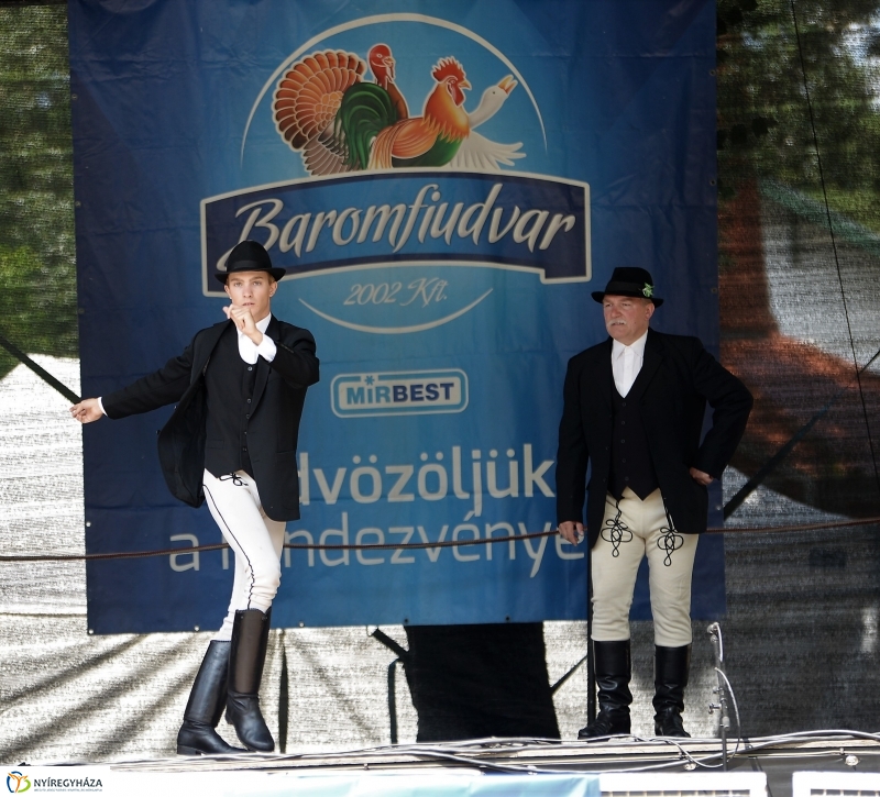 A Szabolcs Néptáncegyüttes is fellépett a Sárkányhajó Fesztivál programjában