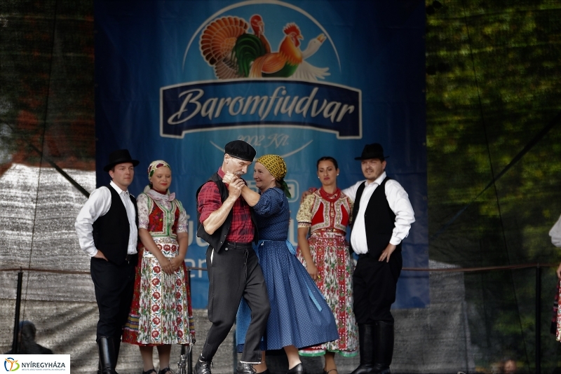 A Szabolcs Néptáncegyüttes is fellépett a Sárkányhajó Fesztivál programjában