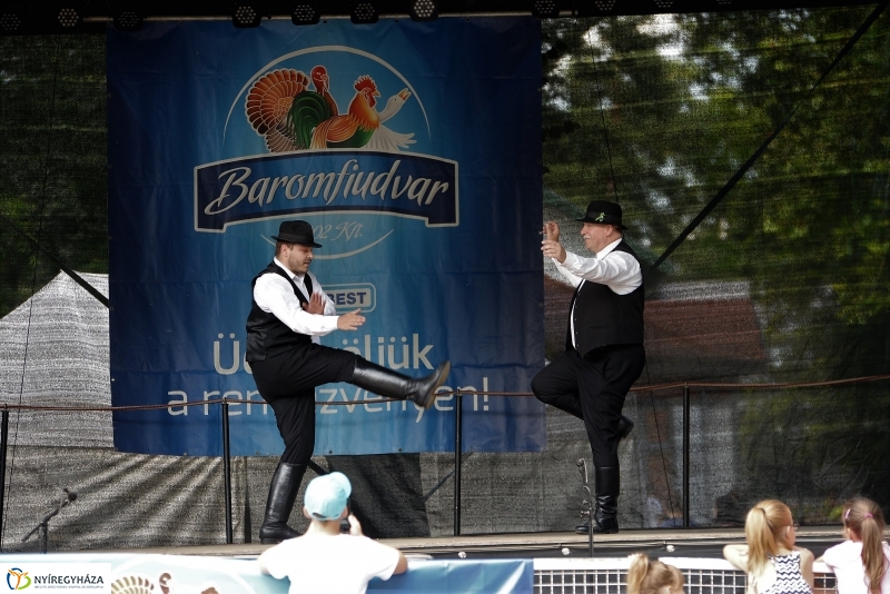 A Szabolcs Néptáncegyüttes is fellépett a Sárkányhajó Fesztivál programjában