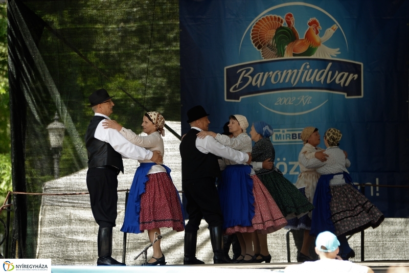 A Szabolcs Néptáncegyüttes is fellépett a Sárkányhajó Fesztivál programjában