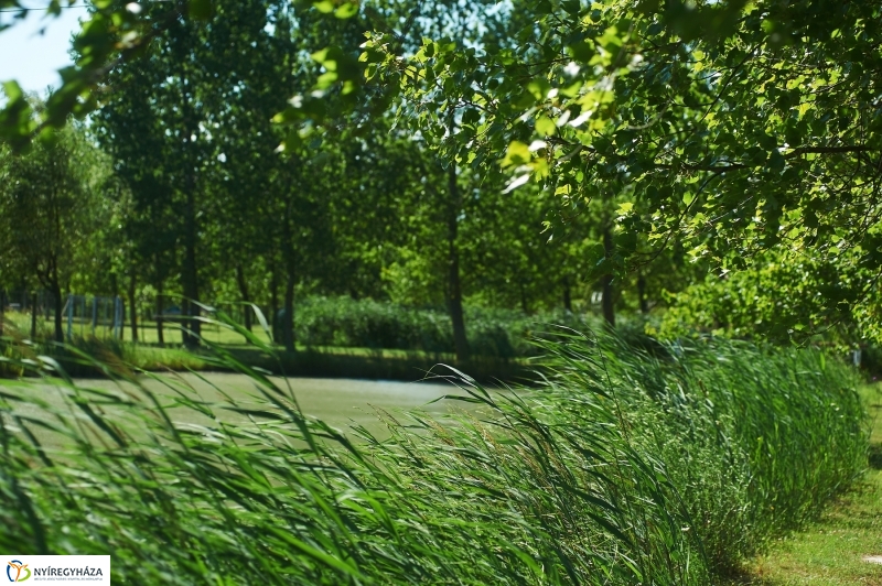 Kikapcsolódás a Tüskevár környékén - fotó Szarka Lajos