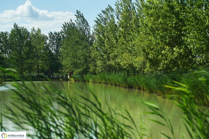 Kikapcsolódás a Tüskevár környékén - fotó Szarka Lajos
