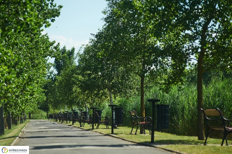 Kikapcsolódás a Tüskevár környékén - fotó Szarka Lajos