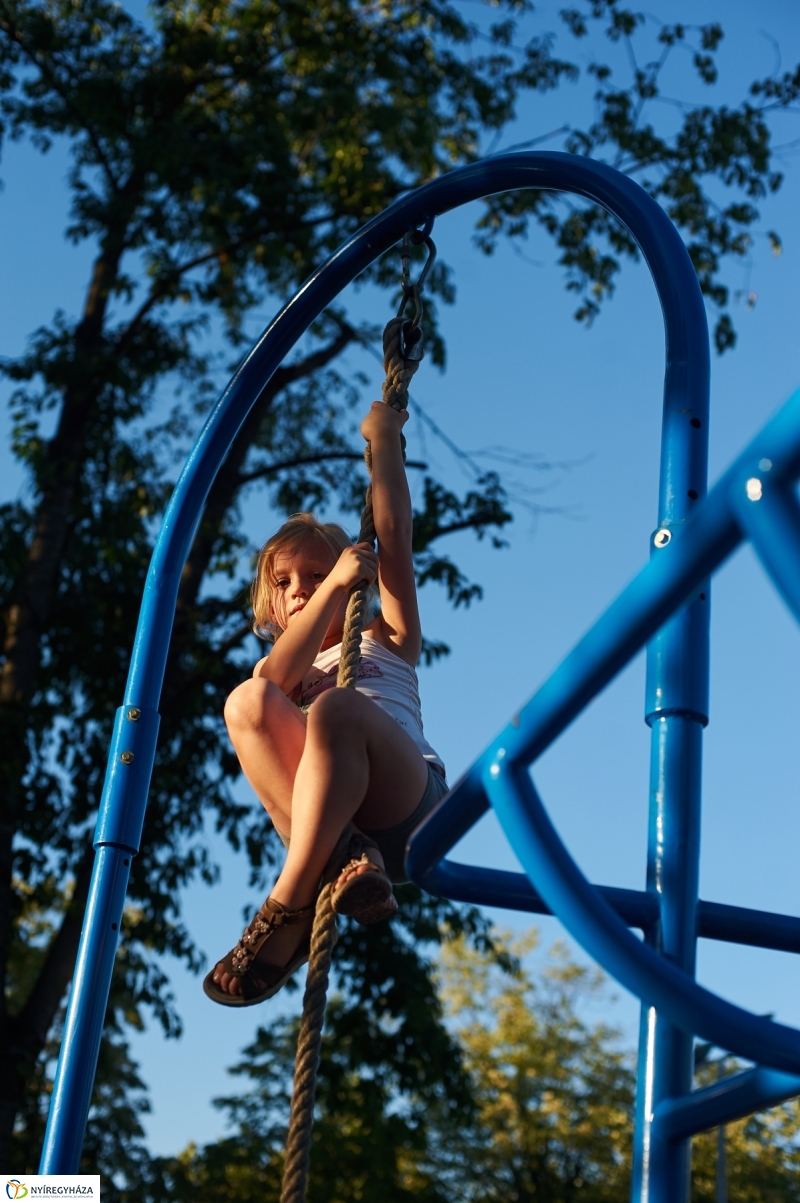 Sport Élet Erő a stadionban - fotó Szarka Lajos