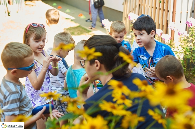 Ügyeletes óvodák - fotó Szarka Lajos