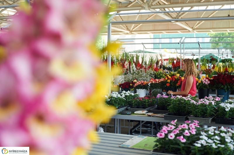 Piaci körkép - fotó Szarka Lajos