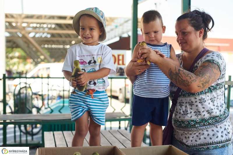 Piaci körkép - fotó Szarka Lajos