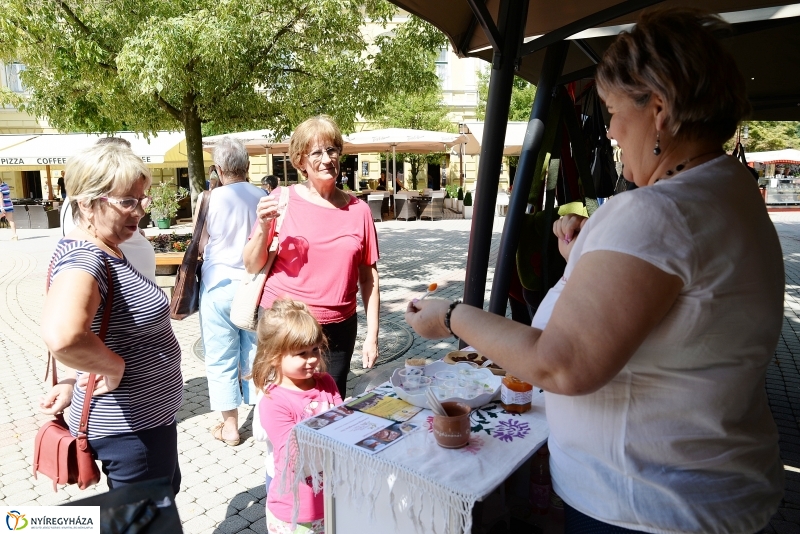 Nyíregyházán mutatkozott  be Hajdúnánás városa