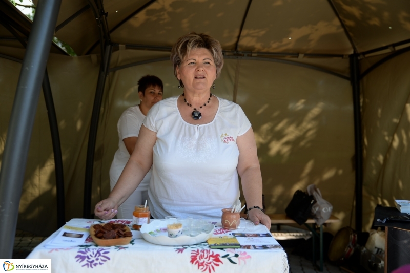 Nyíregyházán mutatkozott  be Hajdúnánás városa