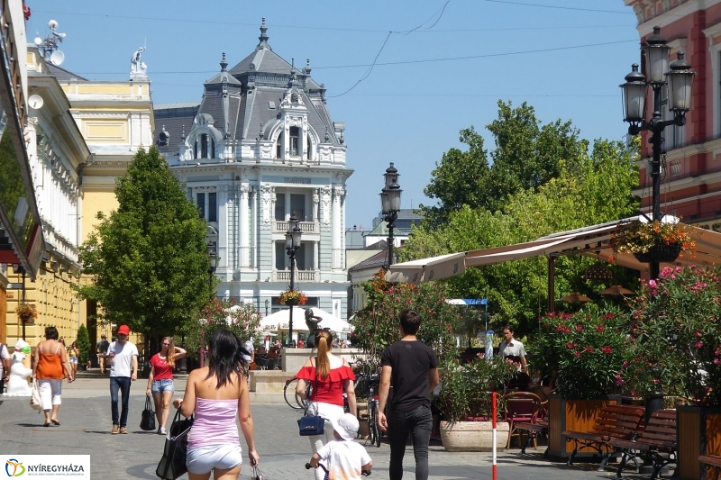 Kánikula - fotó Szarka Lajos