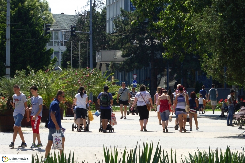 Kánikula - fotó Szarka Lajos