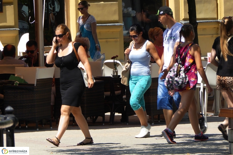 Kánikula - fotó Szarka Lajos