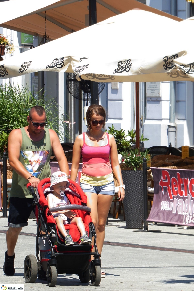 Kánikula - fotó Szarka Lajos