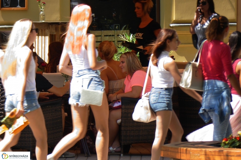 Kánikula - fotó Szarka Lajos