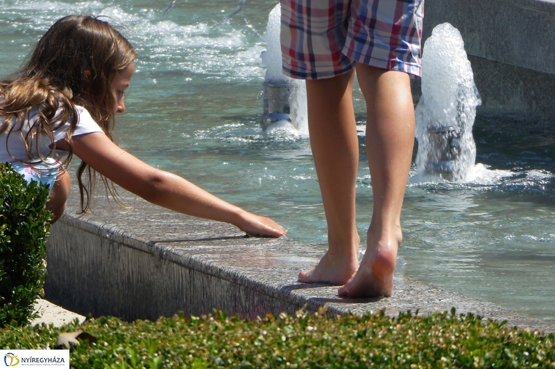 Kánikula - fotó Szarka Lajos