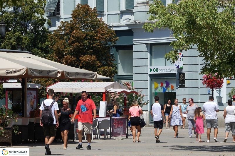 Kánikula - fotó Szarka Lajos