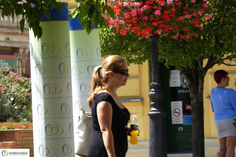 Kánikula - fotó Szarka Lajos