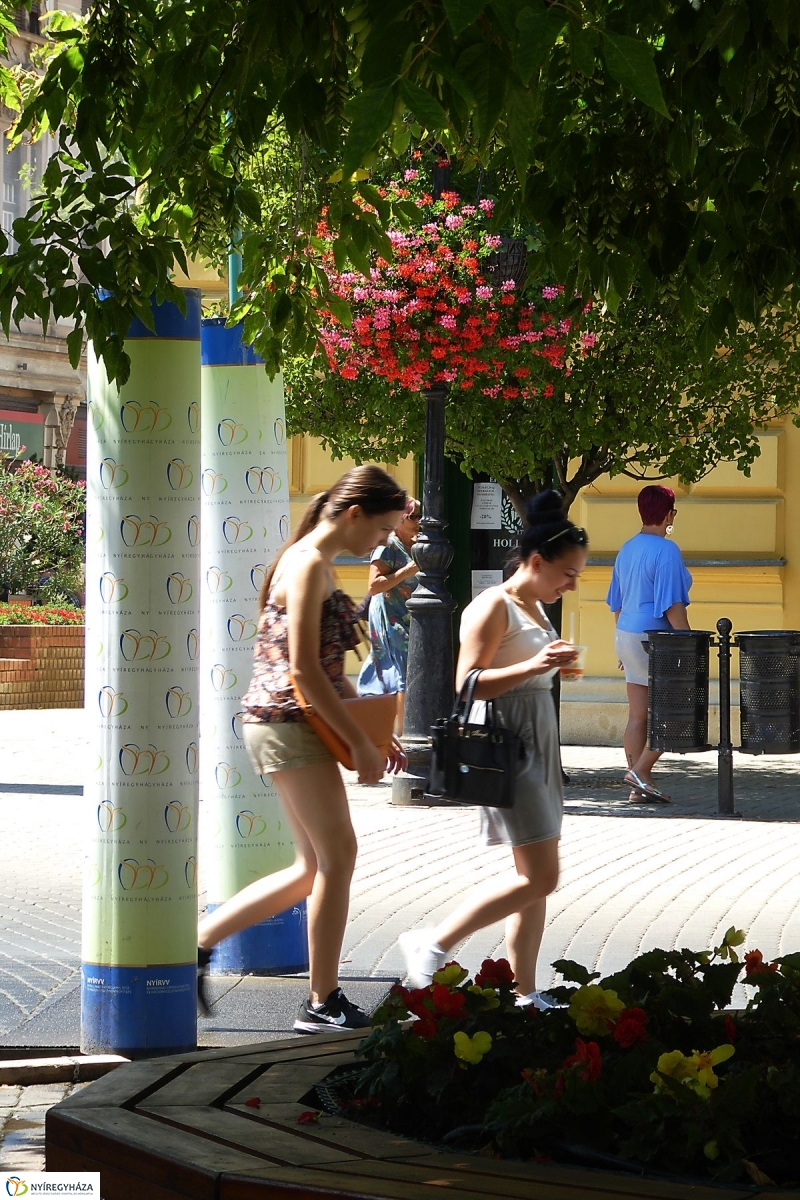 Kánikula - fotó Szarka Lajos