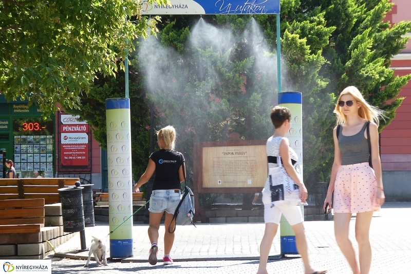 Kánikula - fotó Szarka Lajos