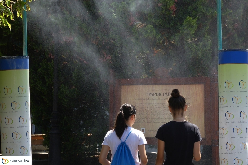 Kánikula - fotó Szarka Lajos